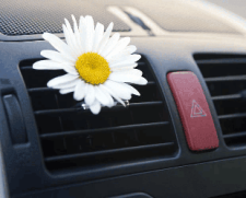 Вебинар "Запах в автомобиле" - 19 сентября 10.00 МСК